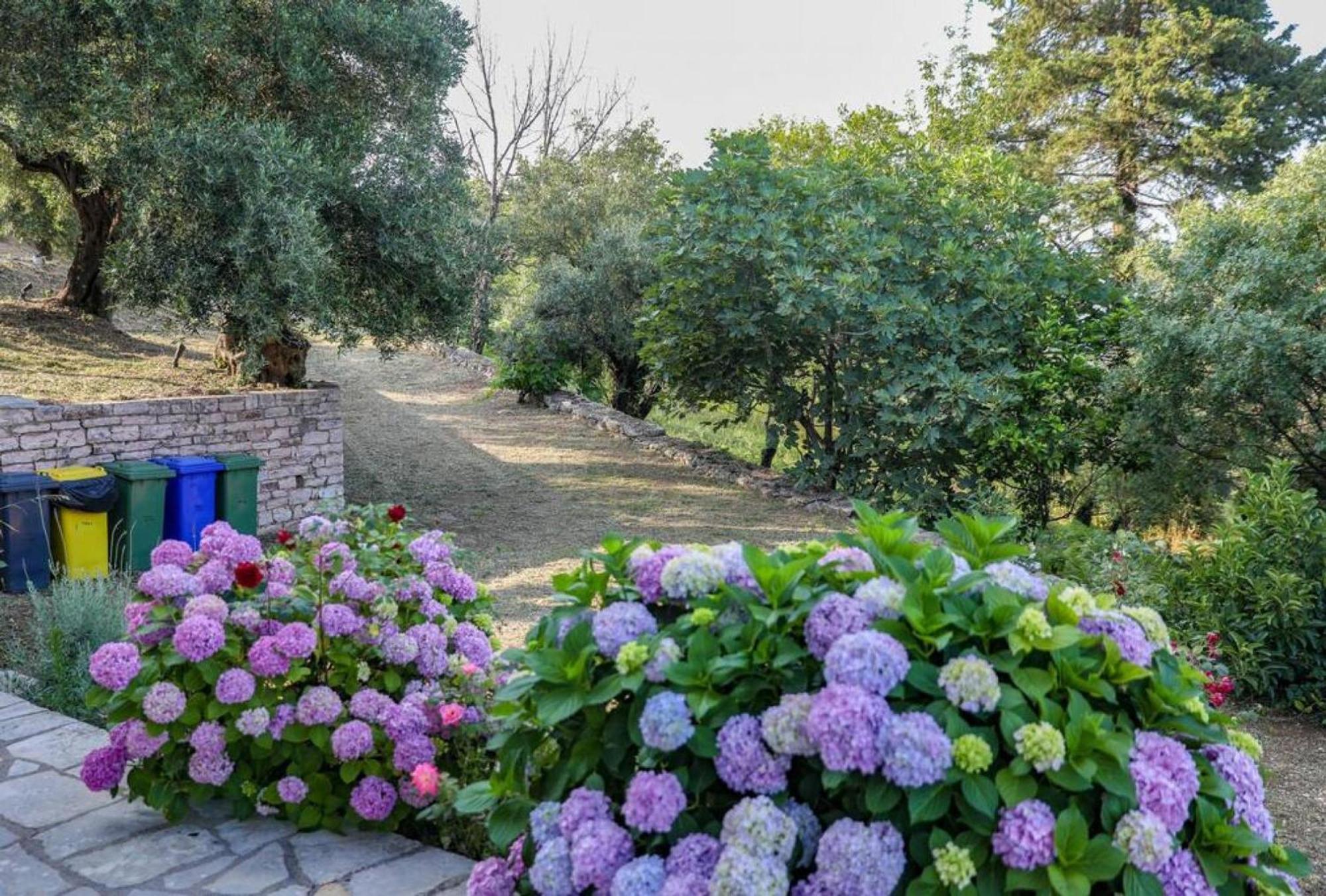 Sinies Stone Cottage - Ne Corfu Agnitsini ภายนอก รูปภาพ